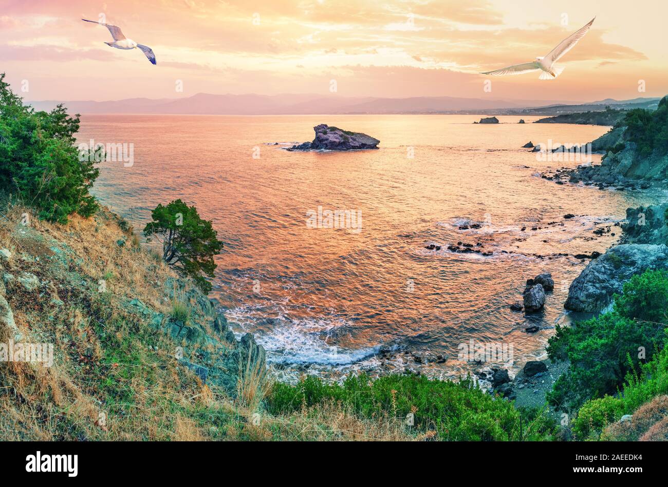 Capo della baia di Akamas con i gabbiani in cielo al tramonto Foto Stock