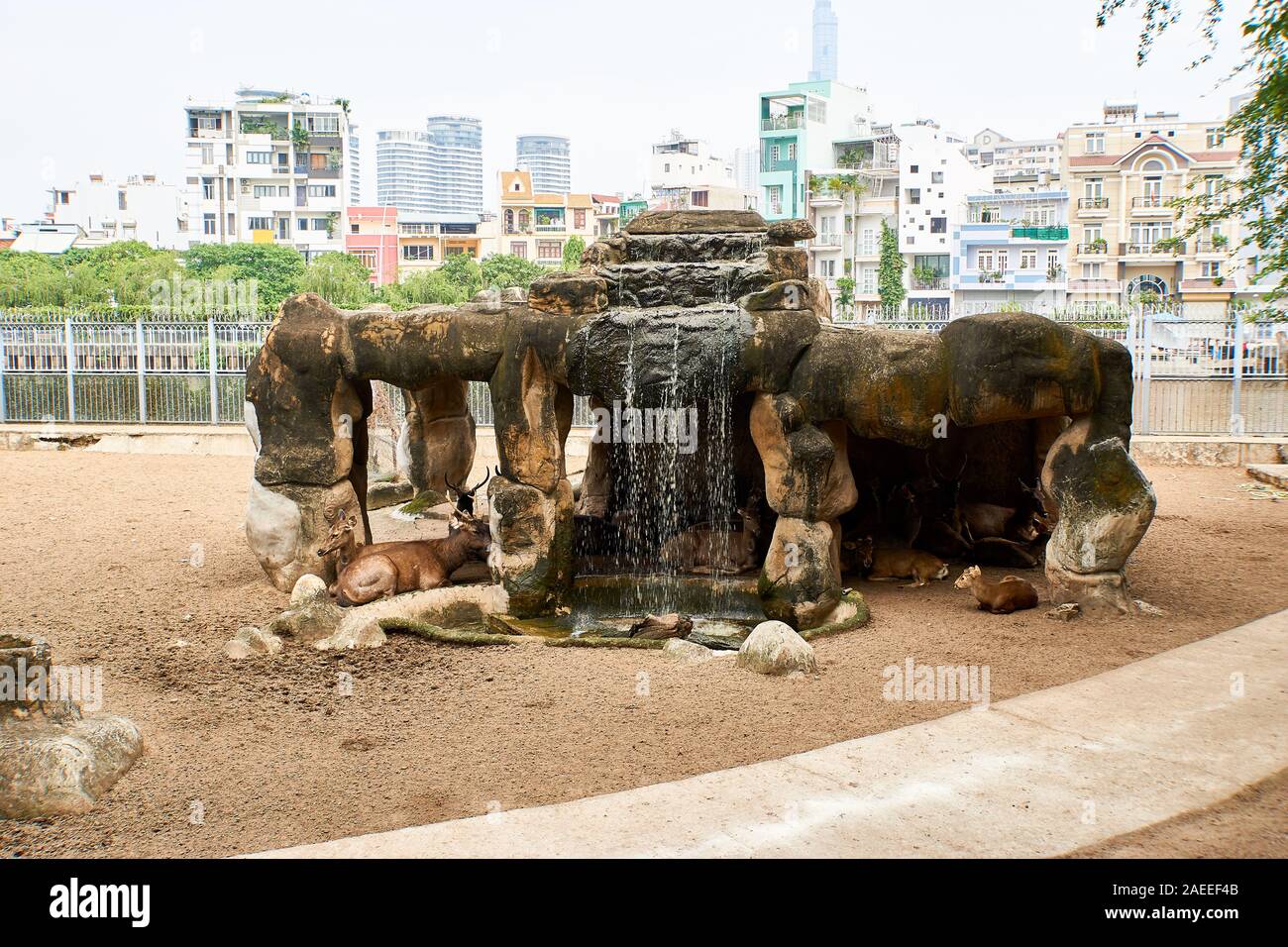 La città di HO CHI MINH, VIETNAM - Novembre 15, 2019: gruppo di cervi al Saigon Zoo. Foto Stock
