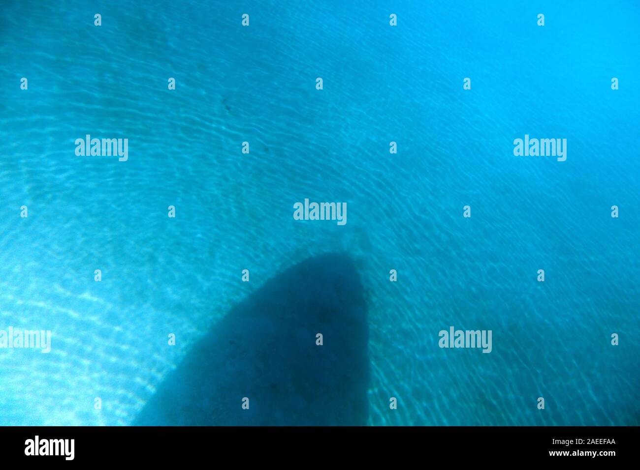 Ombra di prua in barca sul fondo sabbioso di circa dieci metri di acqua limpida, della Grande Barriera Corallina, Queensland, Australia Foto Stock