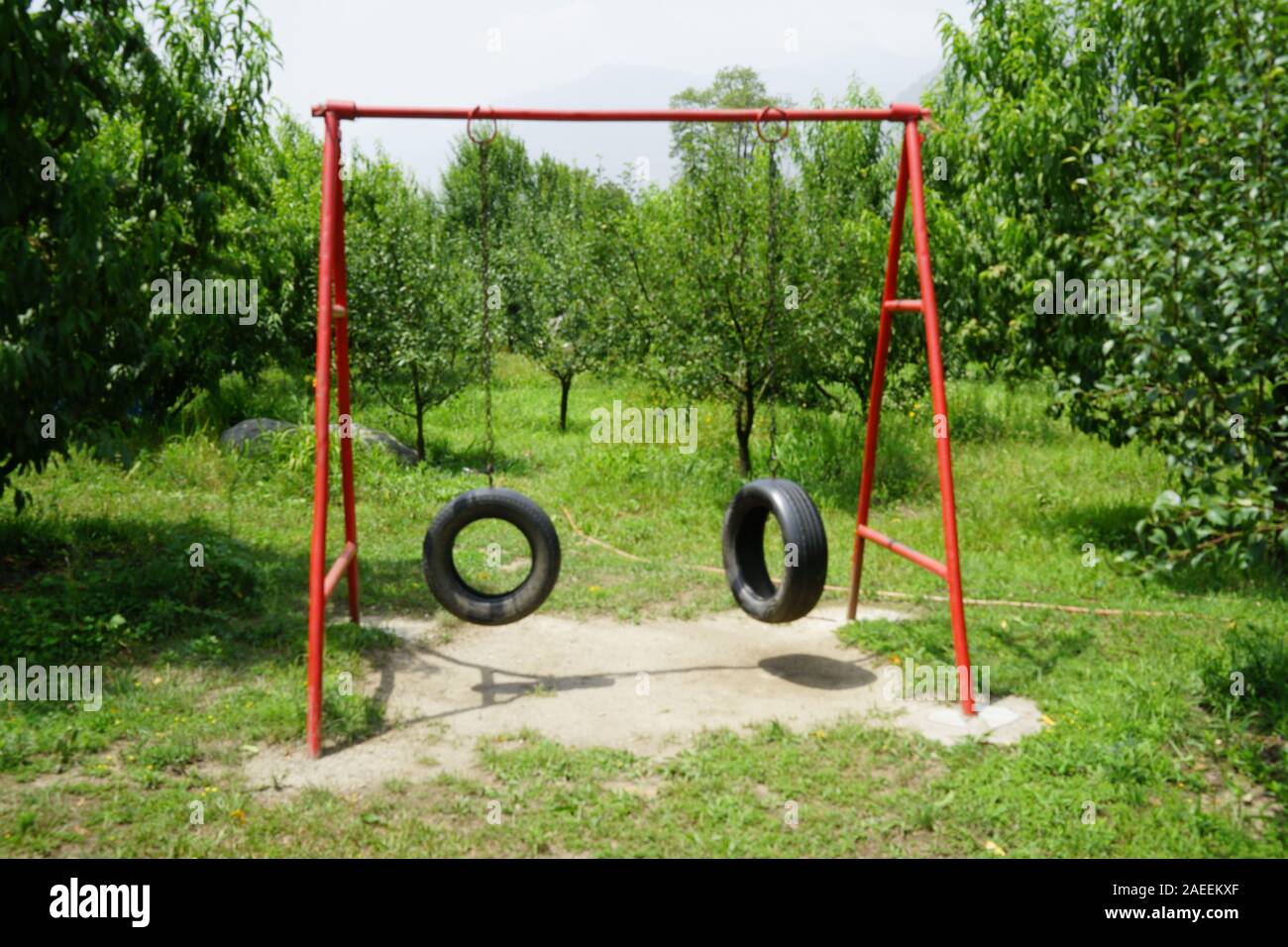 Outdoor swing Big Bear Cafe, terreno alternativo, Manali, Himachal Pradesh, India, Asia Foto Stock