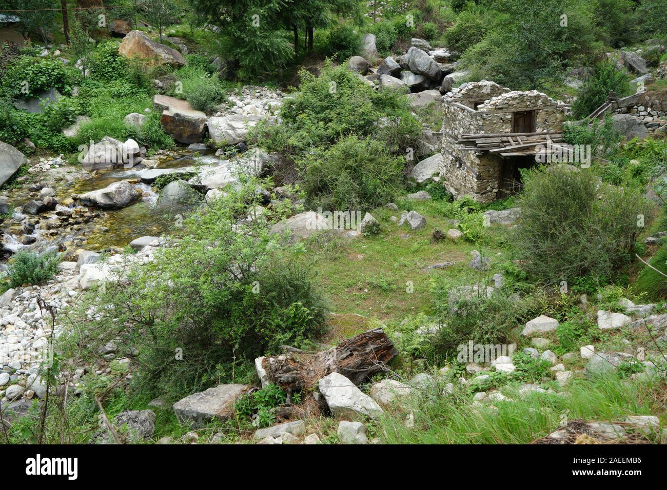 Fiume, Gone Fishing Cottage, Village Deorhi, Kalwari, Tirthan Valley, Himachal Pradesh, India, Asia Foto Stock