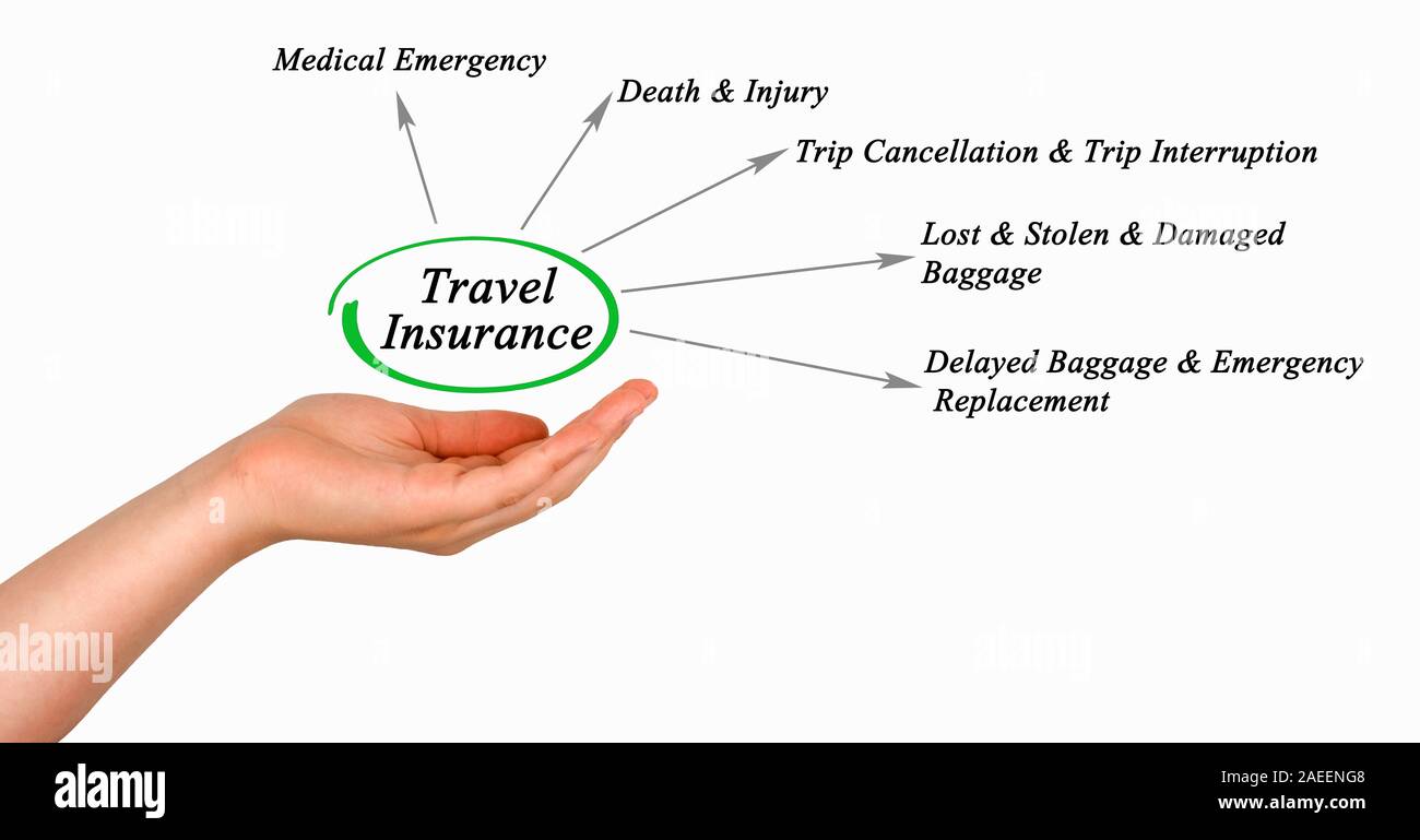 Schema di assicurazione di viaggio Foto Stock