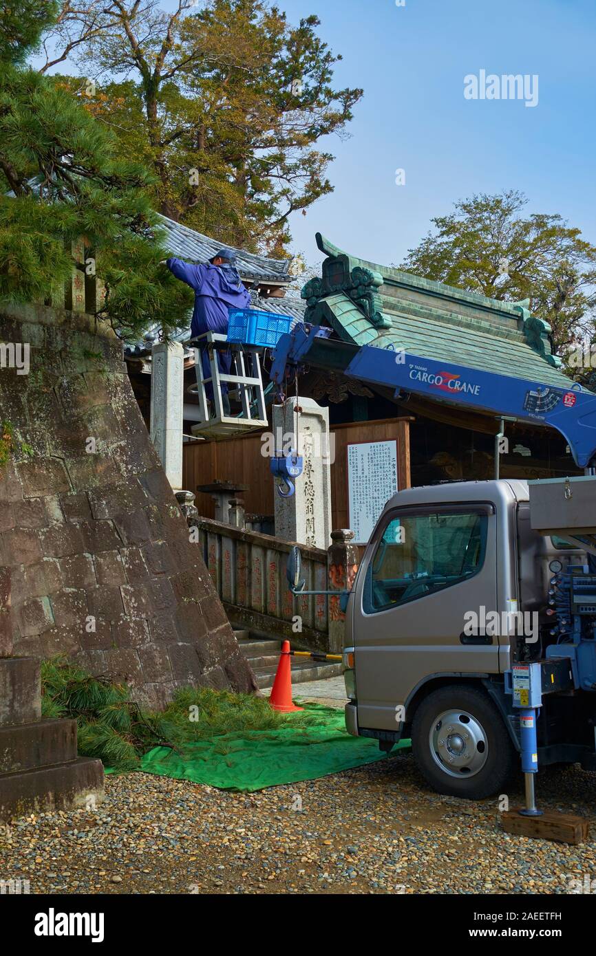 Un albero attentamente il rifinitore per le prugne secche il verde alla Naritasan Shinshoji era di Edo tempio Buddista complesso a Narita, in Giappone. Foto Stock