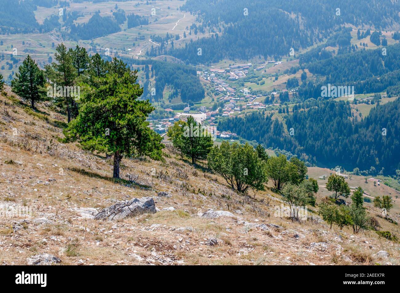 Paesaggio di montagna - alberi su un pendio di montagna. Piccolo villaggio nelle pieghe di una grande catena montuosa in background. Montagne Rodopi, Bulgaria. Foto Stock