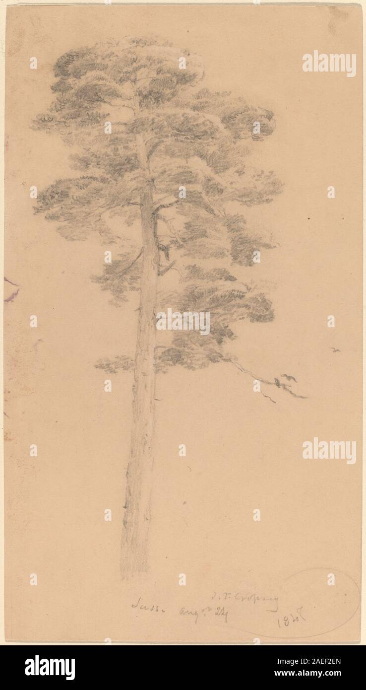 Jasper Francis Cropsey, Pino, 1847 Pino; 1847data Foto Stock