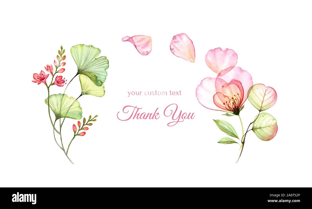 Biglietto di ringraziamento con fiori ad acquerello. Rosa trasparente con petali volanti isolati su bianco. Composizione Arch. Botaniche illustrazioni floreali per Foto Stock
