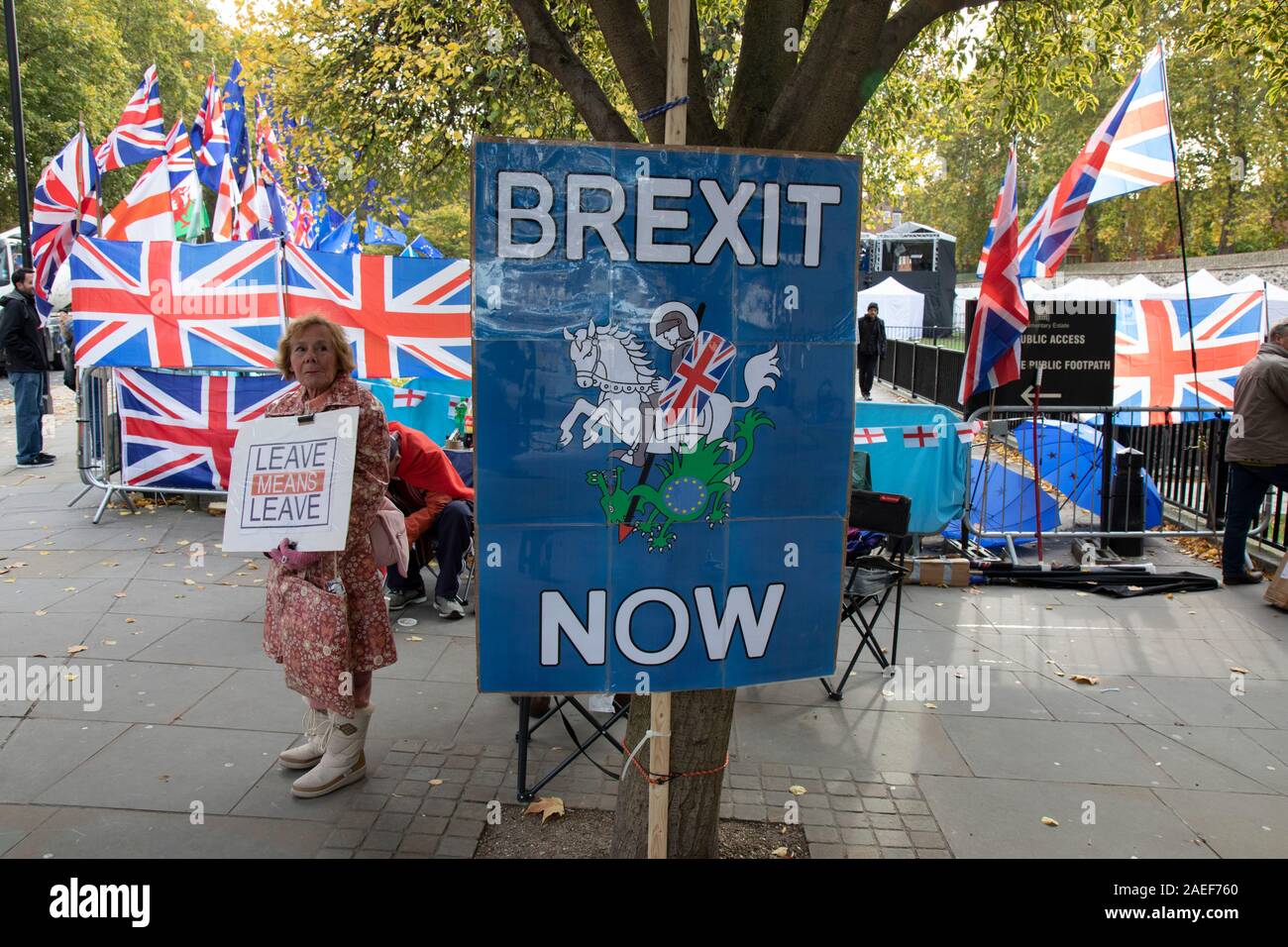Pro Brexit anti Unione europea lasciano manifestanti dimostrando in Westminster il 30 ottobre 2019 a Londra, Inghilterra, Regno Unito. Brexit è previsto il ritiro del Regno Unito dalla Unione Europea. A seguito di un Giugno 2016 referendum in cui il 51,9% di partecipare gli elettori hanno votato per lasciare. Come un generale elezione è fatta passare attraverso il Commons, proteste Brexit intensificare al di fuori del Parlamento il giorno prima della data iniziale di lasciare sul 31st. Foto Stock