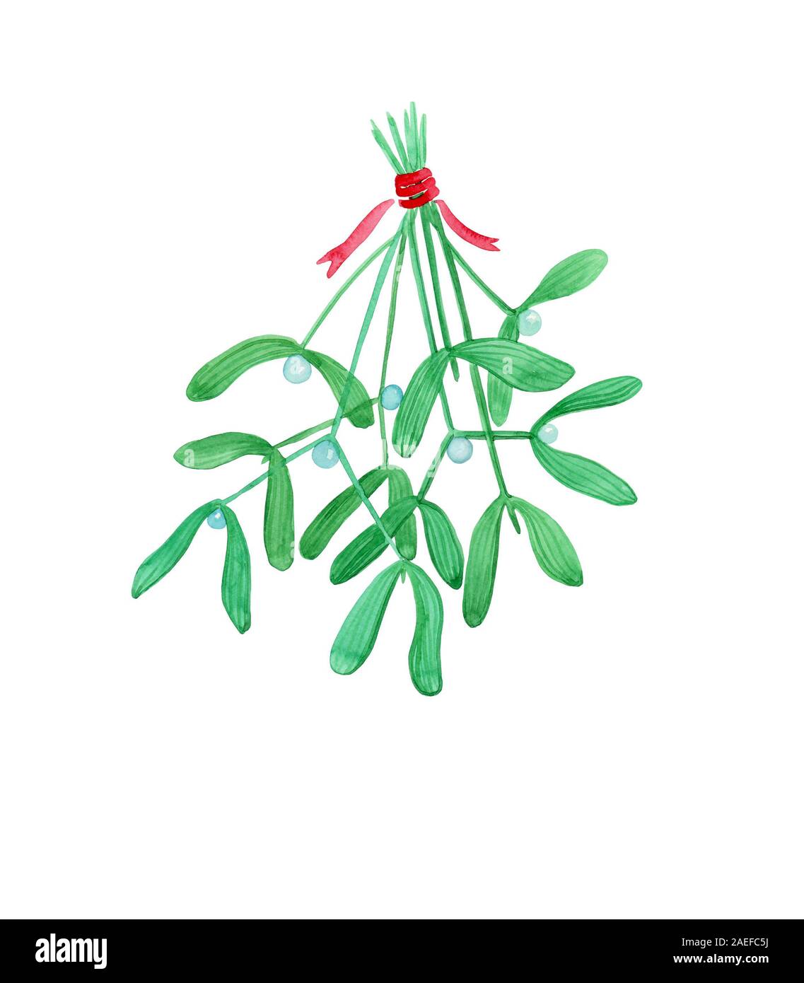 Vischio acquerello con fiocco rosso su sfondo bianco. Isolato. Natale e Anno Nuovo illustrazione Foto Stock