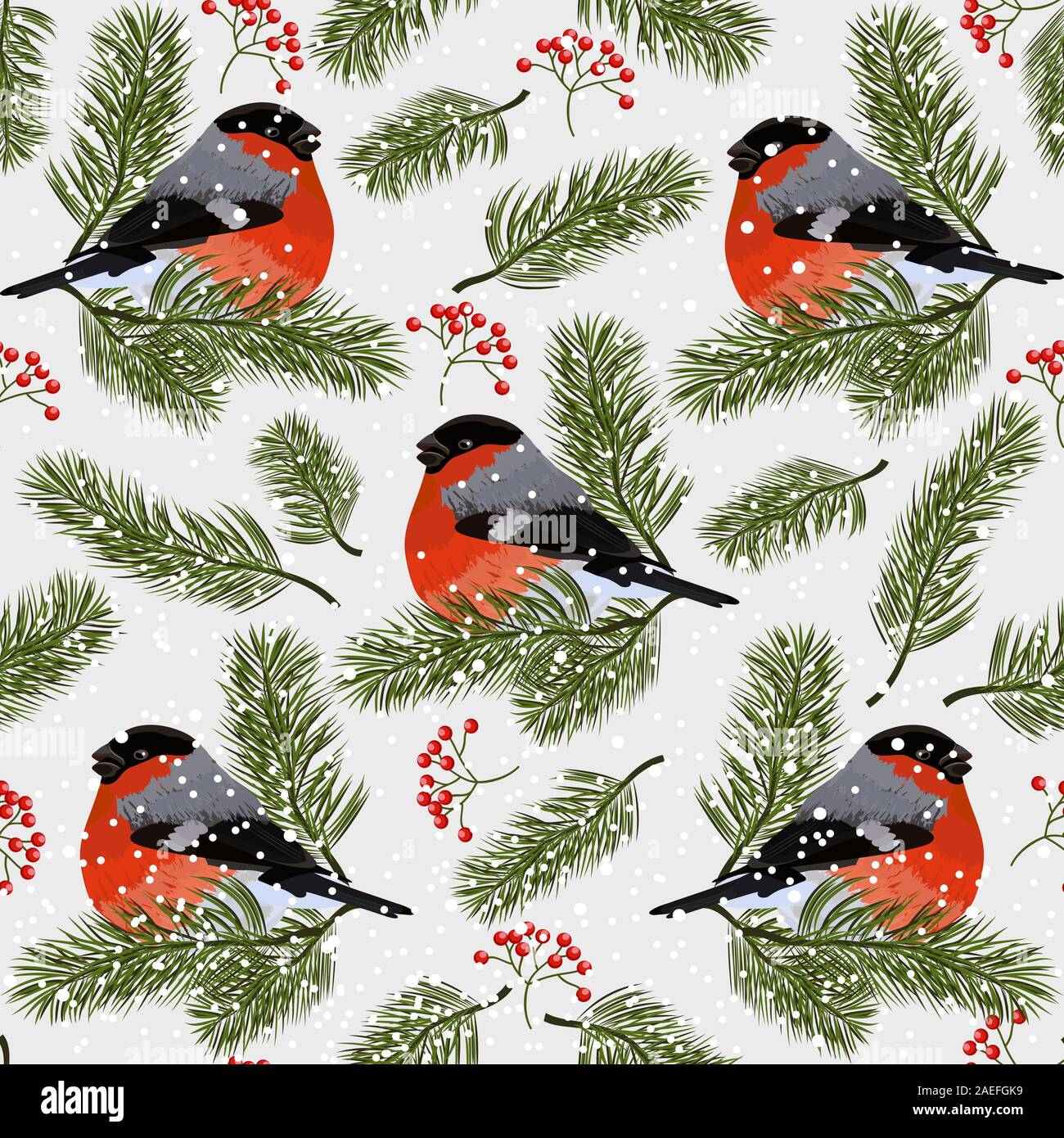 Modello senza cuciture con bullfinches, rowan bacche e rami di abete. Illustrazione Vettoriale su sfondo bianco Illustrazione Vettoriale