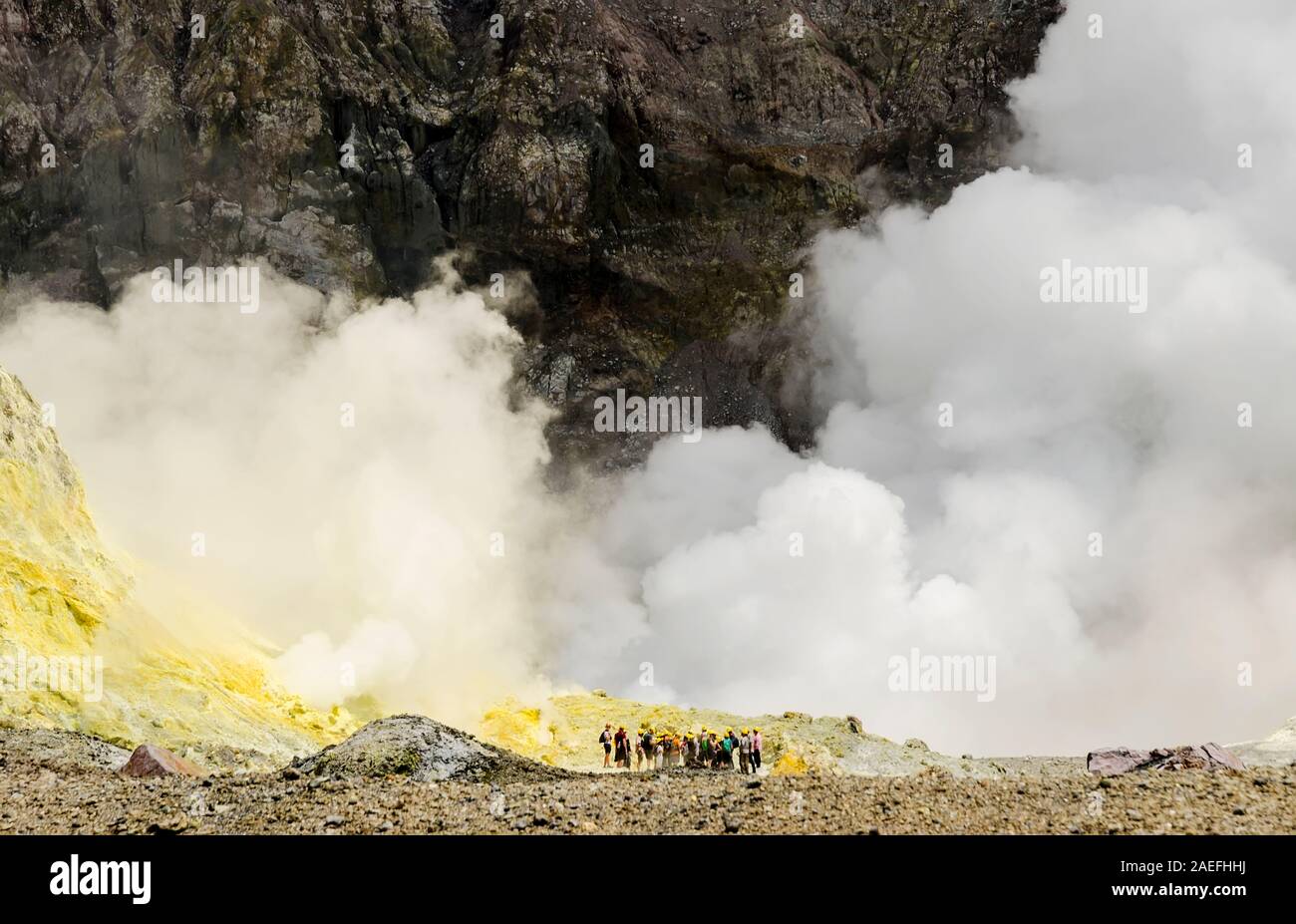 Visitatori del vulcano attivo Whakaari / White Island in Nuova Zelanda Foto Stock