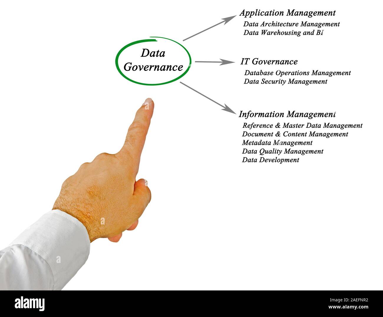 Schema di governance dei dati Foto Stock