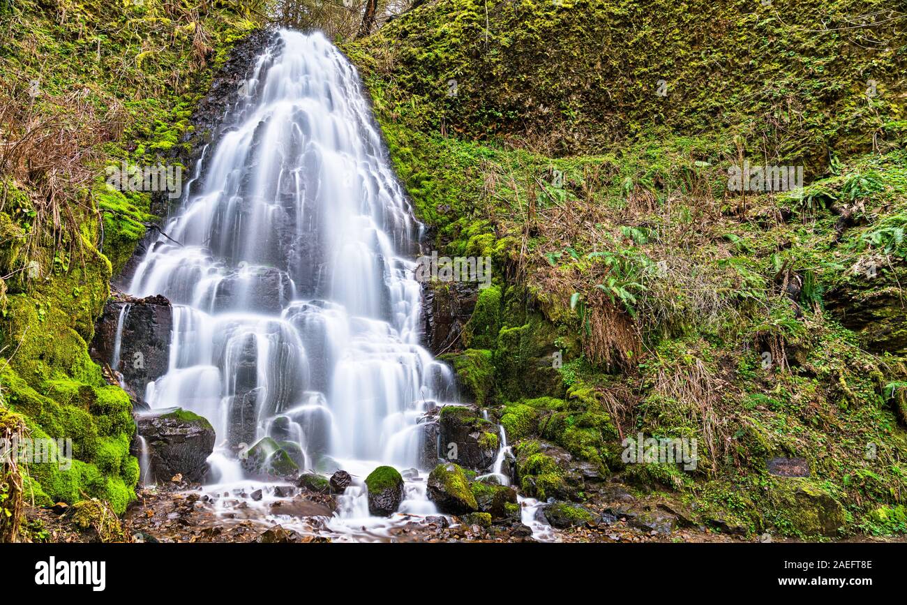 Le Fairy Falls nelle gole del fiume Columbia, Stati Uniti d'America Foto Stock