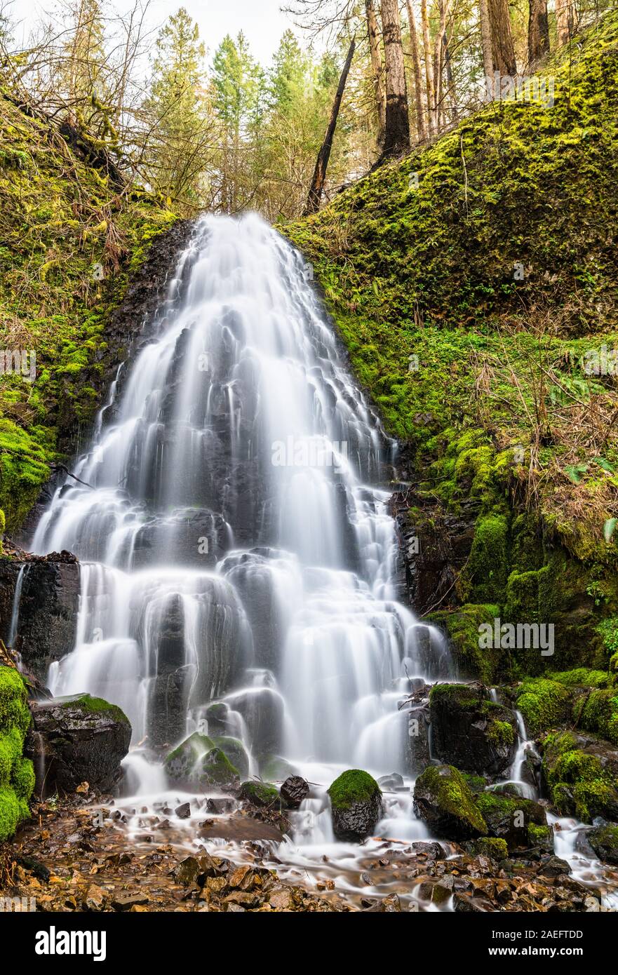 Le Fairy Falls nelle gole del fiume Columbia, Stati Uniti d'America Foto Stock