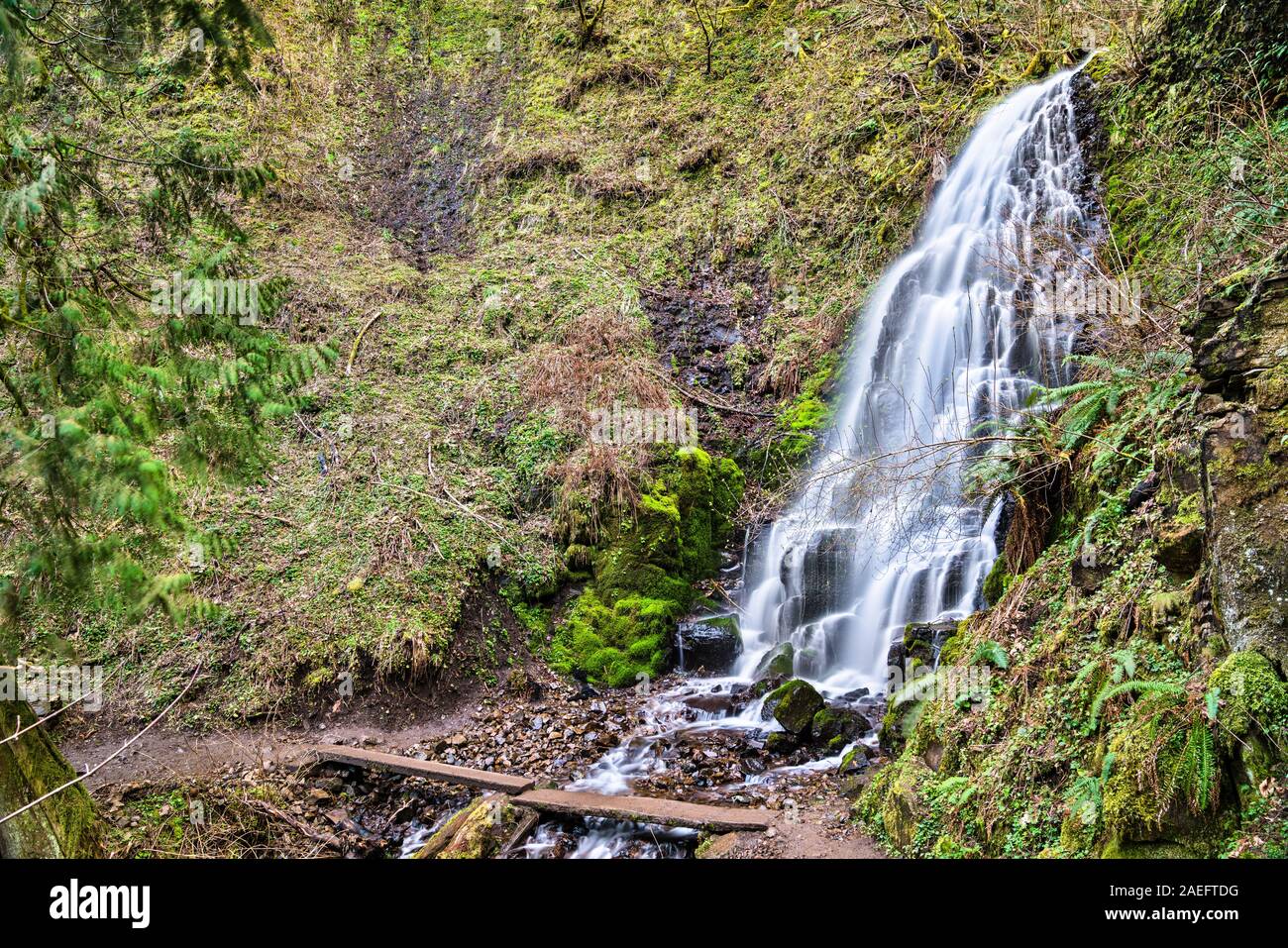 Le Fairy Falls nelle gole del fiume Columbia, Stati Uniti d'America Foto Stock