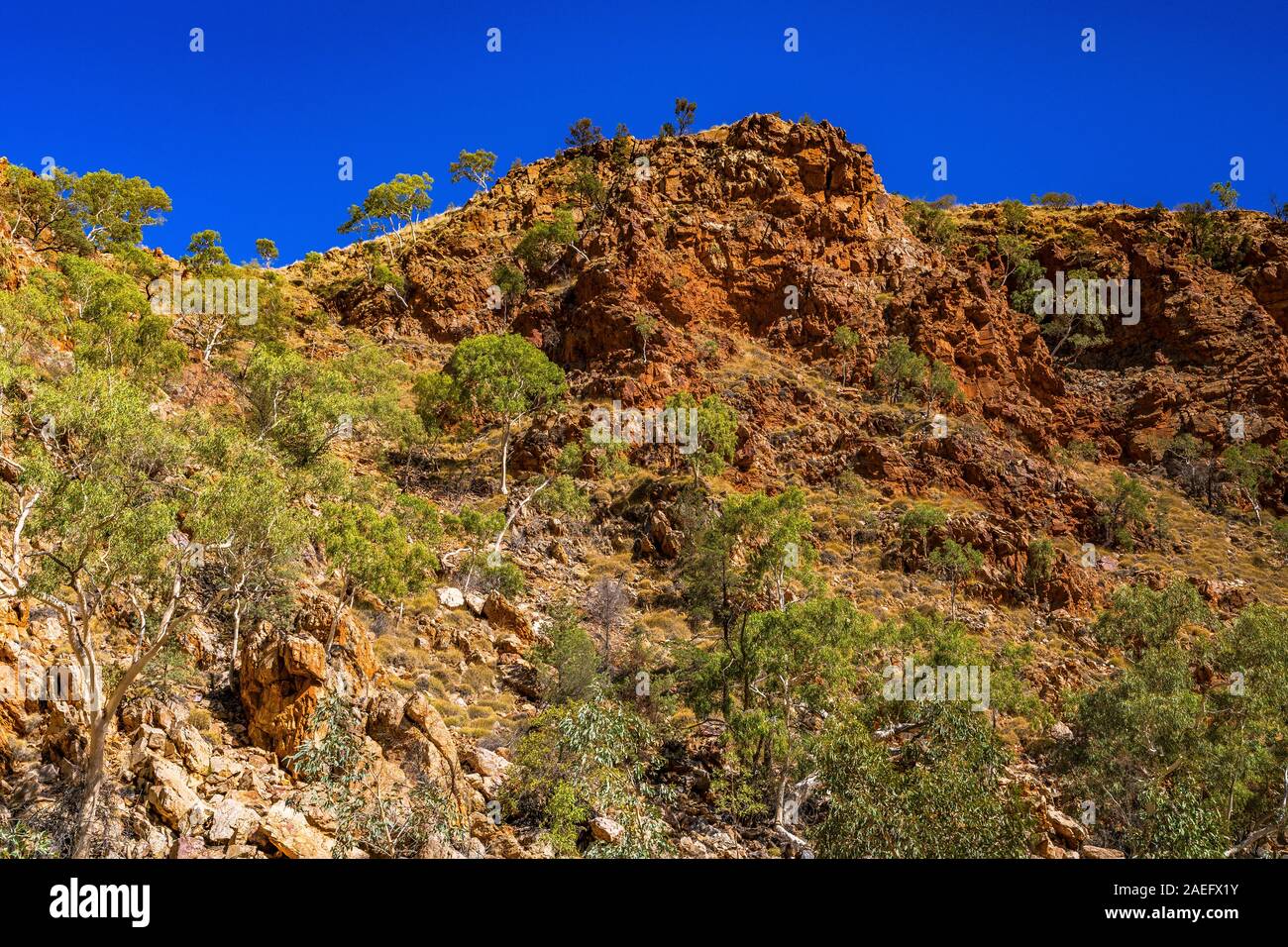 La colorata Redbank Gorge è un vuoto nelle West MacDonnell Ranges nel Northern Territory, Australia Foto Stock