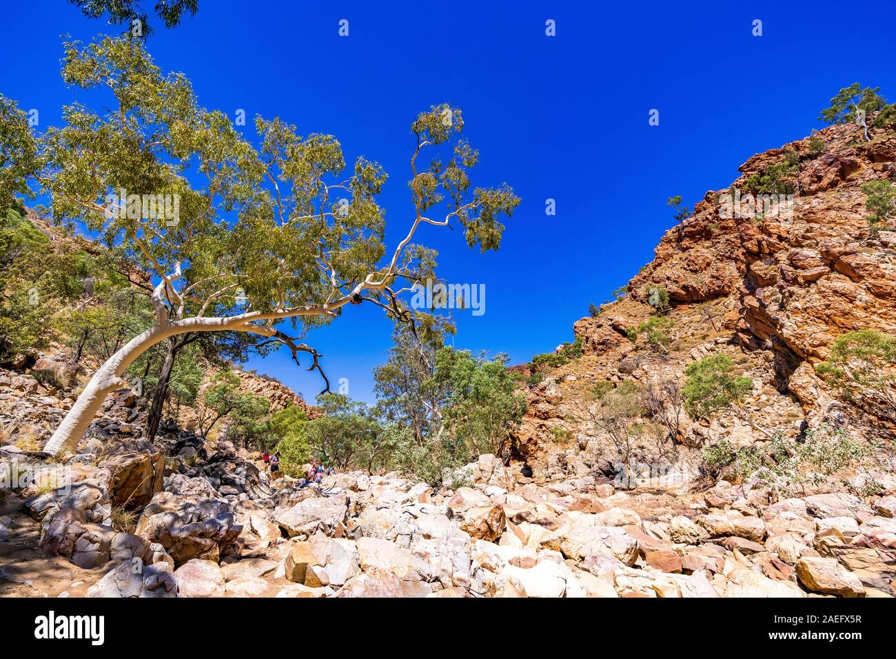 La colorata Redbank Gorge è un vuoto nelle West MacDonnell Ranges nel Northern Territory, Australia Foto Stock