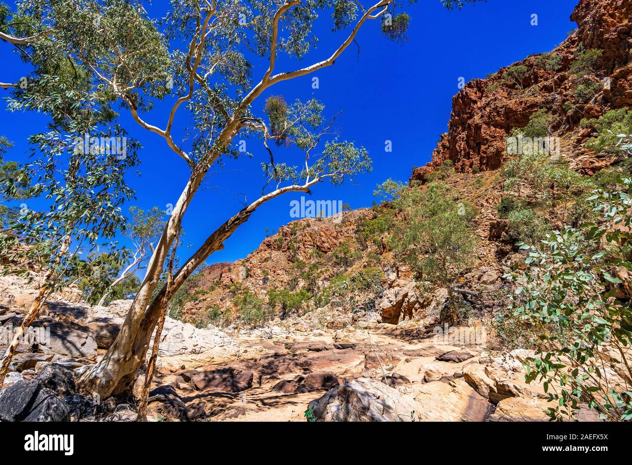 La colorata Redbank Gorge è un vuoto nelle West MacDonnell Ranges nel Northern Territory, Australia Foto Stock