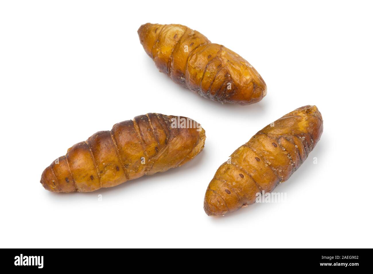 Croccante di bachi da seta per uno spuntino isolati su sfondo bianco Foto Stock
