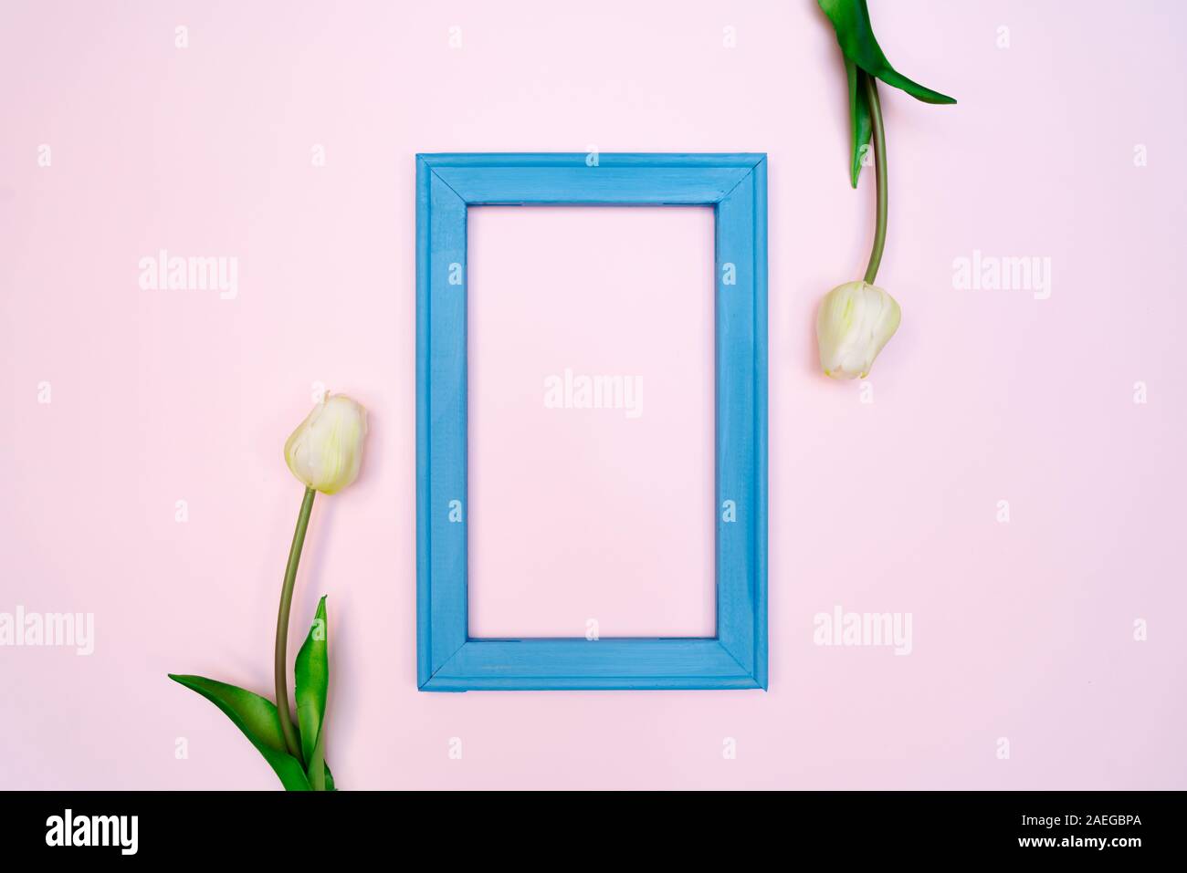 Composizione di fiori. tulip fiori blu con photo frame su sfondo rosa. Appartamento laico, vista dall'alto, spazio di copia Foto Stock