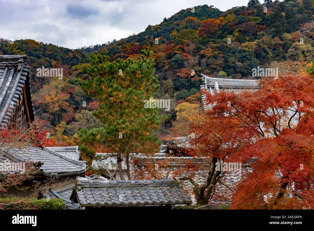 Giardino con colori autunnali, originariamente creato da Musō Soseki, dell'Tenryū-ji Zen tempio buddista, Kyoto, Giappone Foto Stock