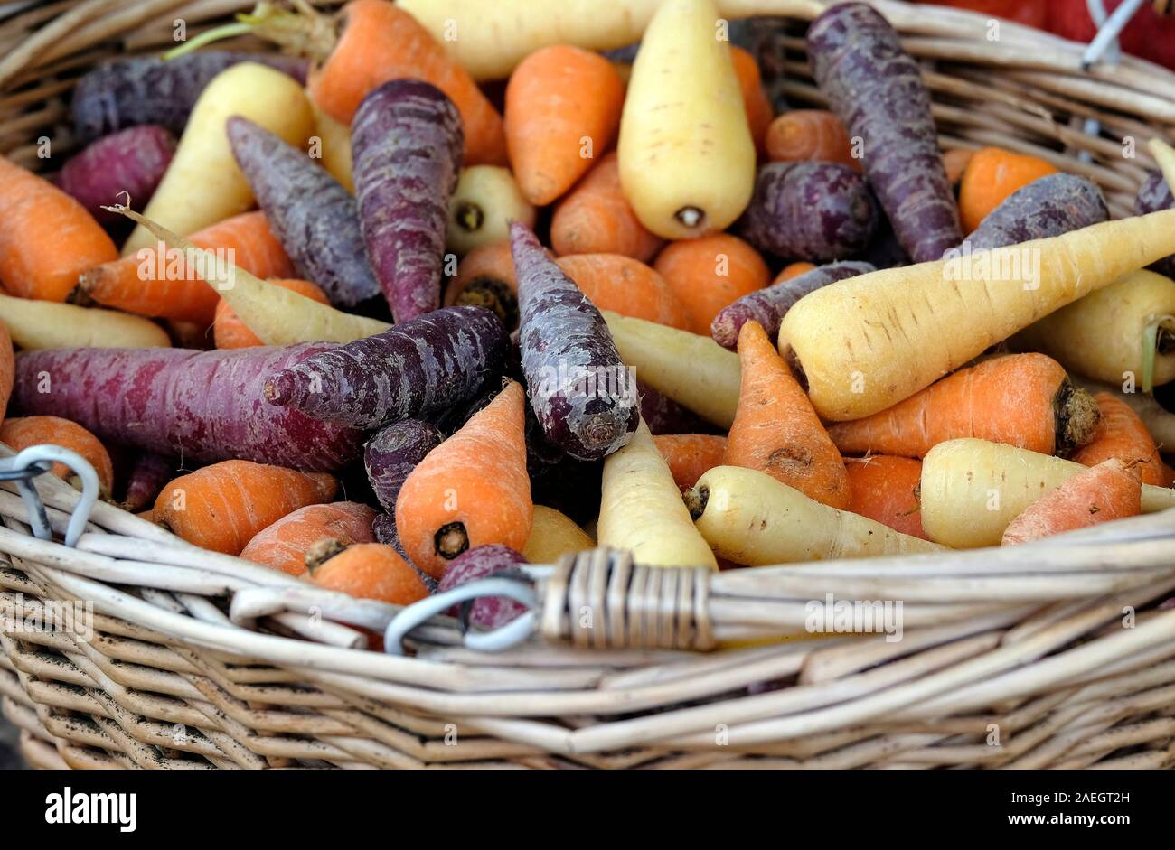 Heritage carote nel cesto di vimini, Norfolk, Inghilterra Foto Stock