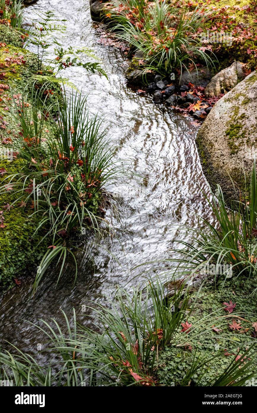 Flusso in giardino, originariamente creato da Musō Soseki, dell'Tenryū-ji Zen tempio buddista, Kyoto, Giappone Foto Stock
