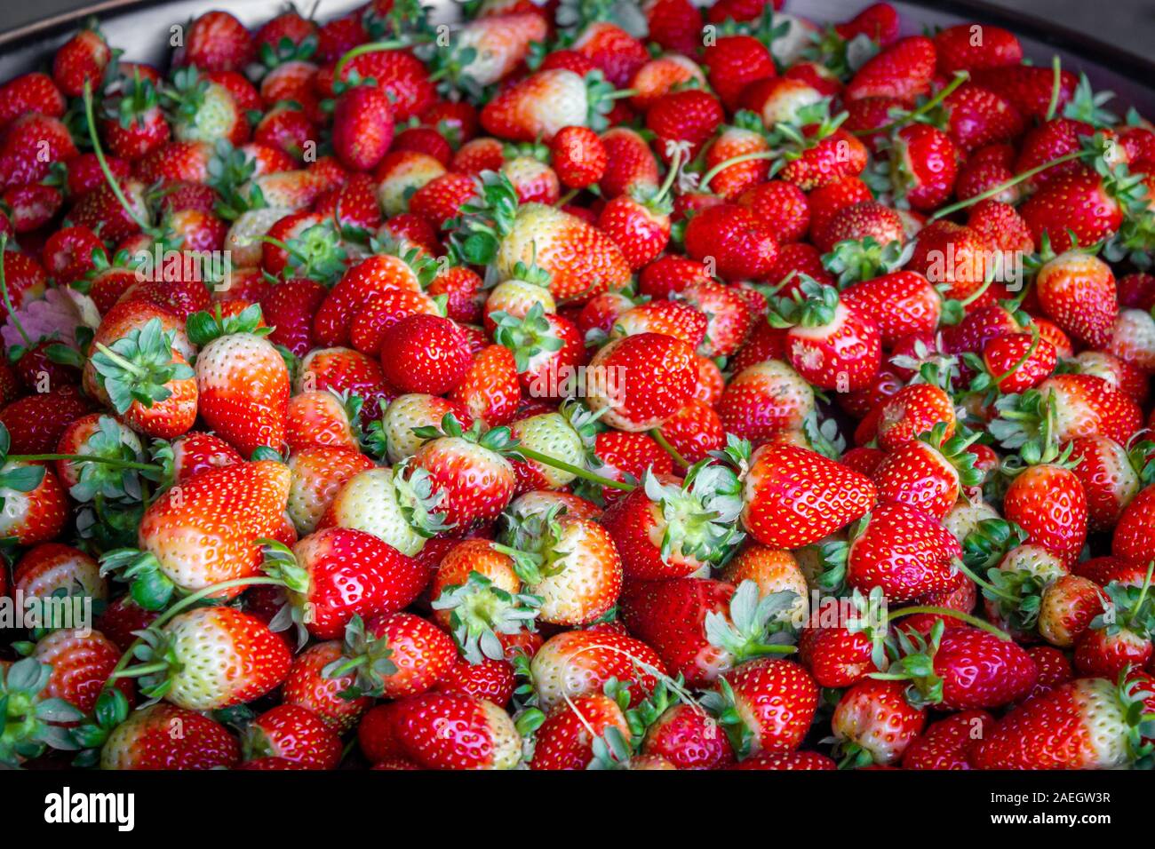 Appena raccolto di fragole fresche sfondo Foto Stock