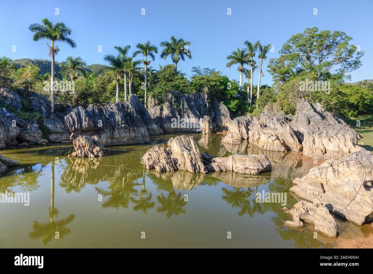 Vinales, Pinar del Rio, Cuba, America del Nord Foto Stock