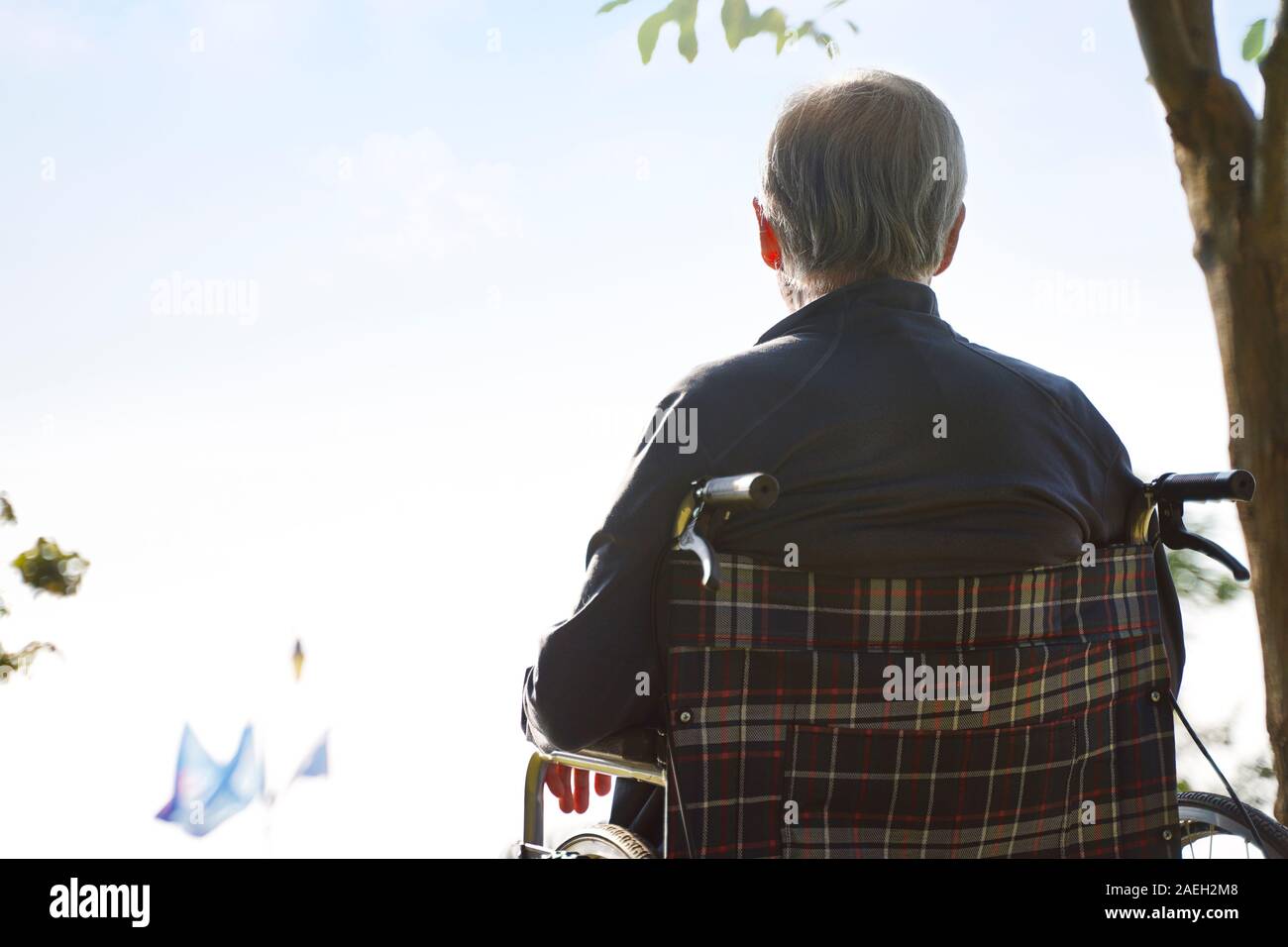 Vista posteriore di asian senior uomo seduto in poltrona a rotelle guardando il cielo Foto Stock