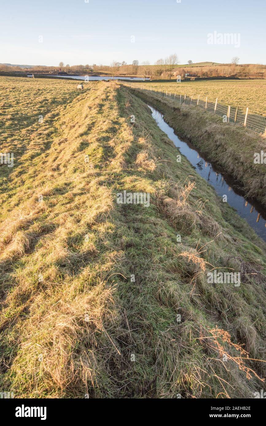 Gallaber stagno, Hellifield lampeggia Foto Stock