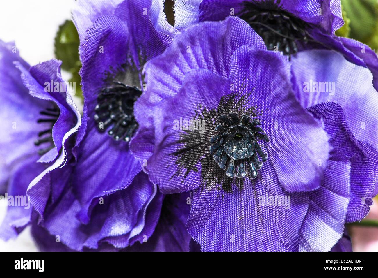 Viola bouquet di fiori per la festa della mamma, sfondo o scheda per la giornata della donna Foto Stock
