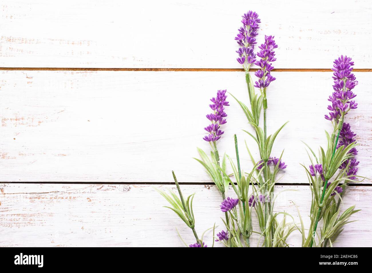 Lavanda viola su legno bianco shabby chic sfondo immagini e fotografie stock  ad alta risoluzione - Alamy