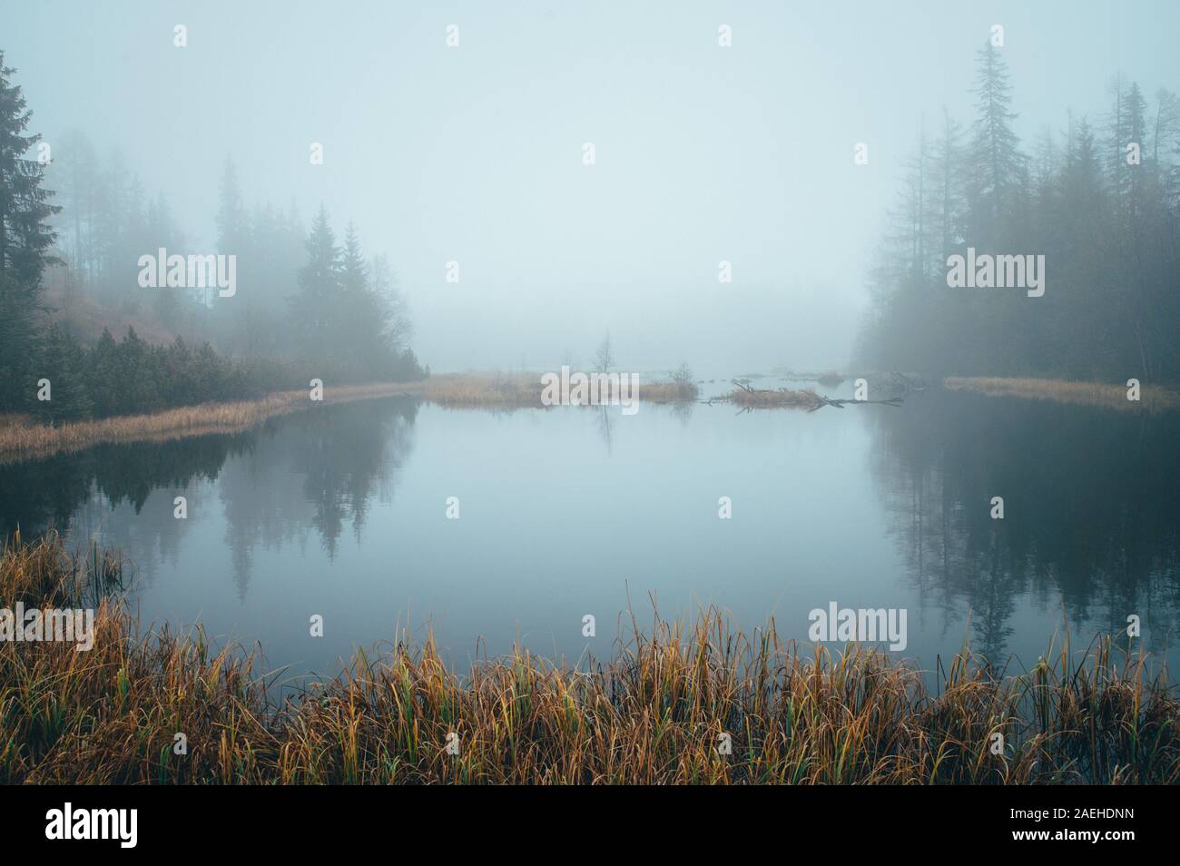 Foschia mattutina dall autunno del lago, uno scenario tranquillo, bianco modificare lo spazio. Foto Stock