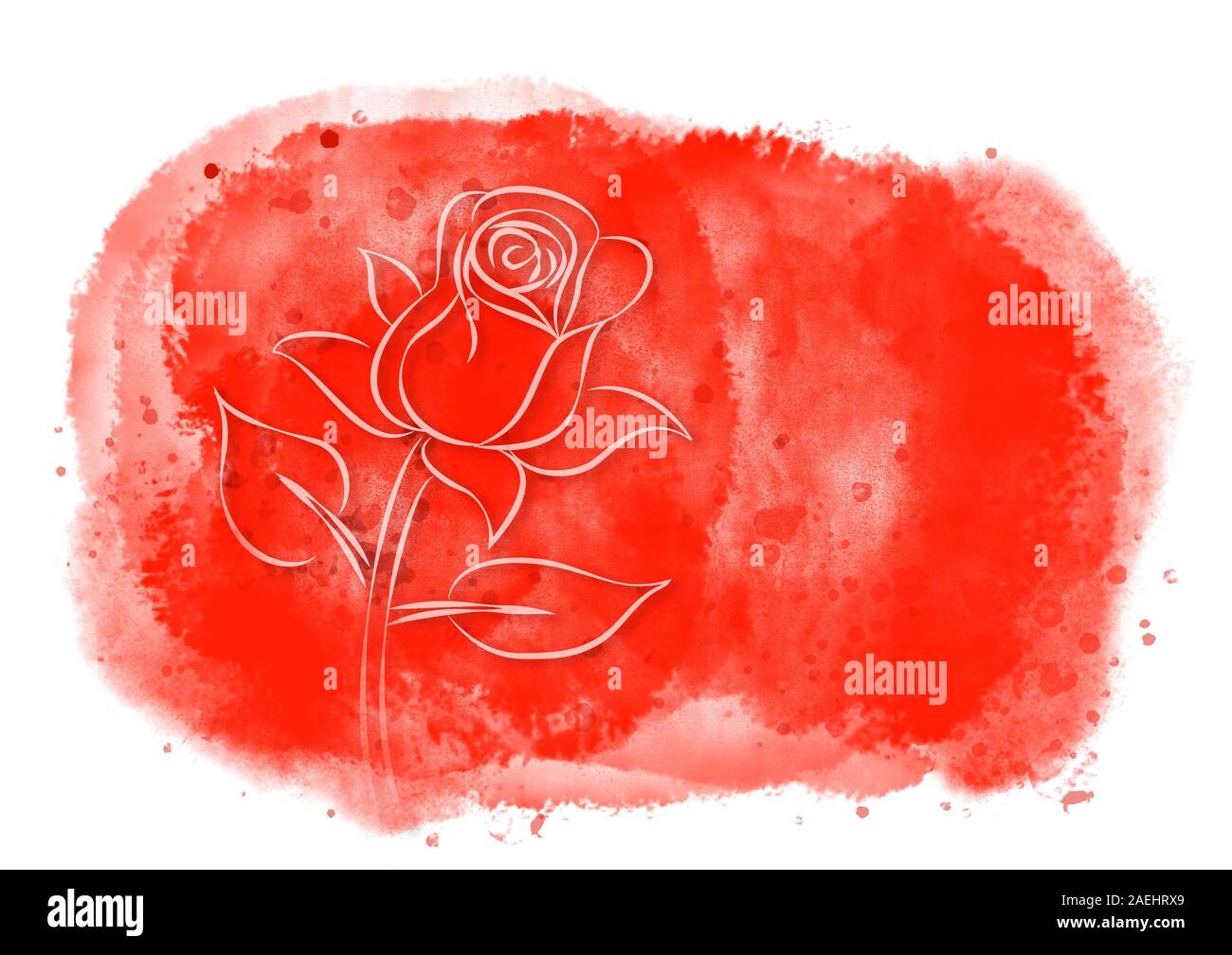 Disegno di rose sul rosso dipinti ad acquerello splash sfondo per amore, celebrazioni o il giorno di San Valentino. Disegnata a mano e il computer immagine generata. Foto Stock