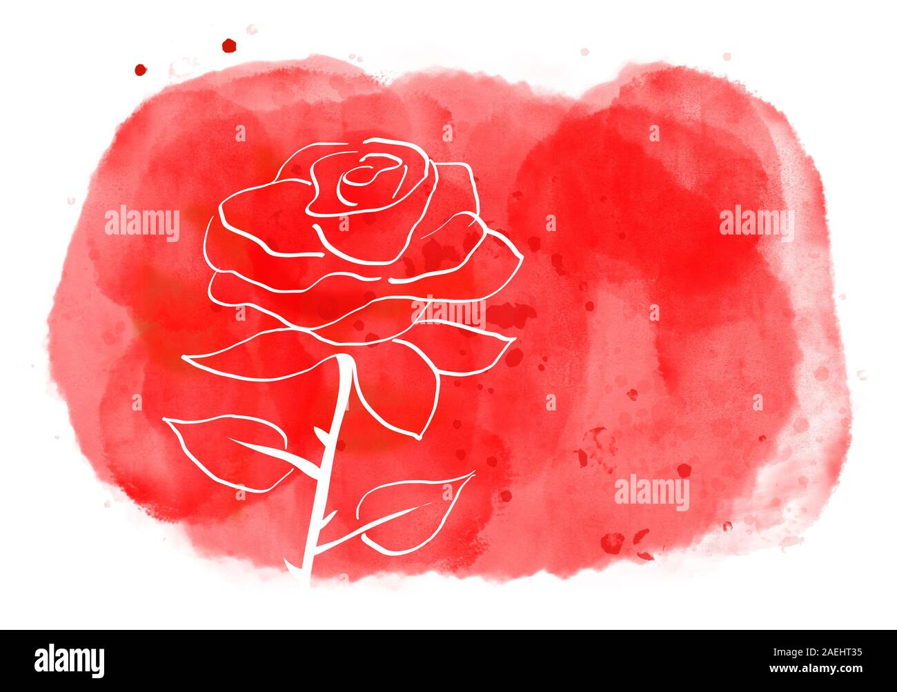 Disegno di rose sul rosso dipinti ad acquerello splash sfondo per amore, celebrazioni o il giorno di San Valentino. Disegnata a mano e il computer immagine generata. Foto Stock