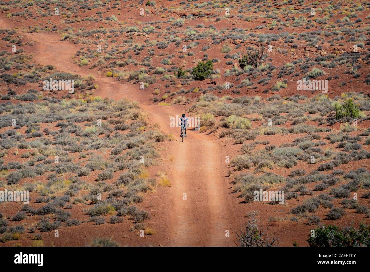 Mountain Biker sul White Rim Trail, Canyolands National Park. Foto Stock