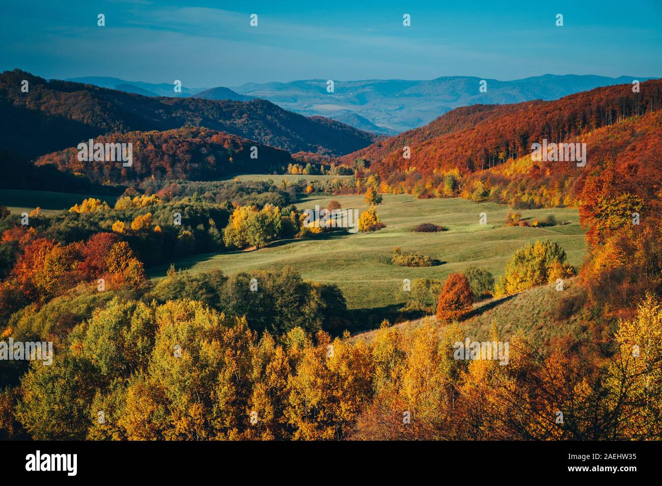 Colorato paesaggio autunnale, prato verde, cielo blu, l'arancione e il rosso degli alberi. Foto Stock