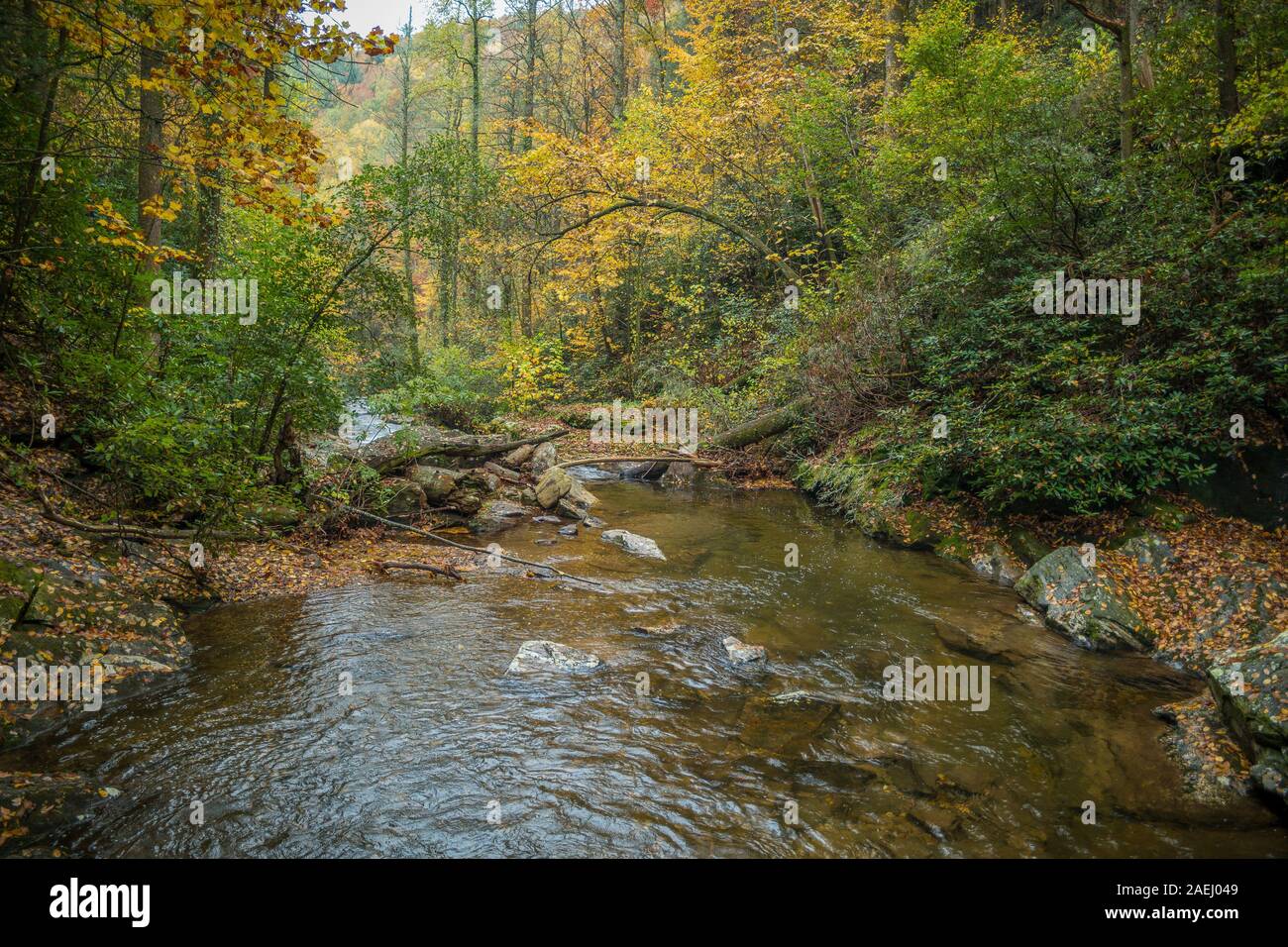 Un veloce fiume di corrente che scorre a valle rapidamente lungo le rocce e massi con colori d'autunno alberi che circondano e in background in autunno Foto Stock