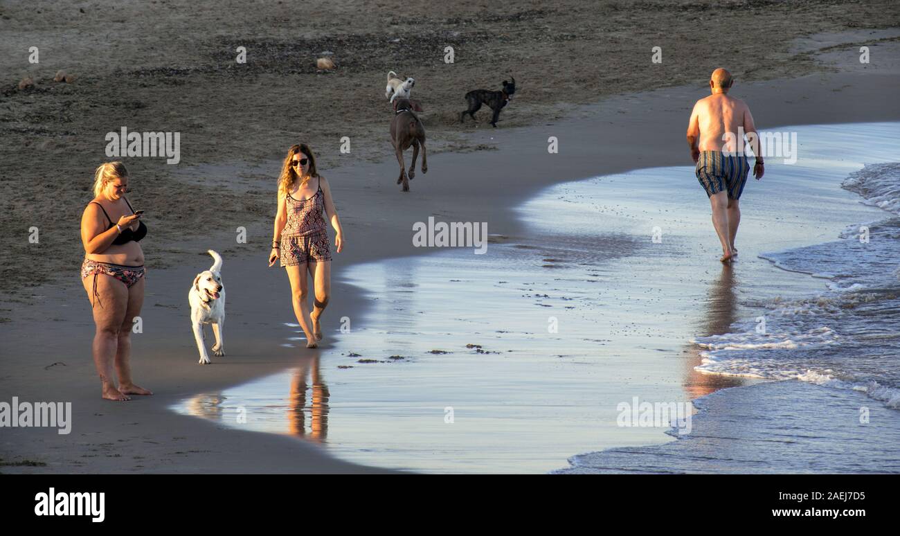 Murcia, Spagna, Agosto 20, 2019: le persone a un pet-friendly spiaggia godendosi l'ultima luce del sole in riva al mare durante il periodo estivo. Foto Stock