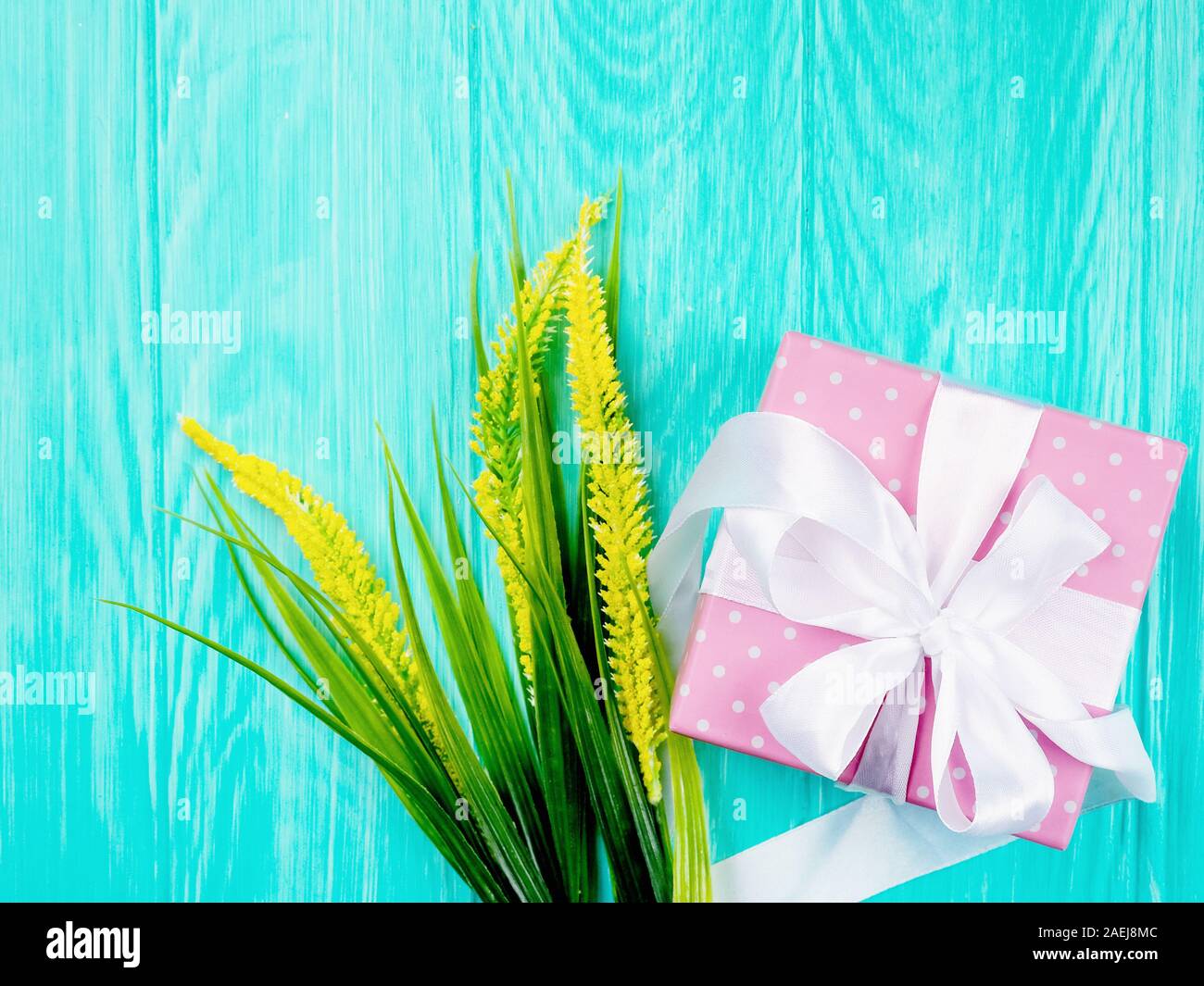 Confezione regalo il giorno di Santo Stefano, accanto a una pianta su sfondo di legno. Regala San Valentino, festa, compleanno Foto Stock