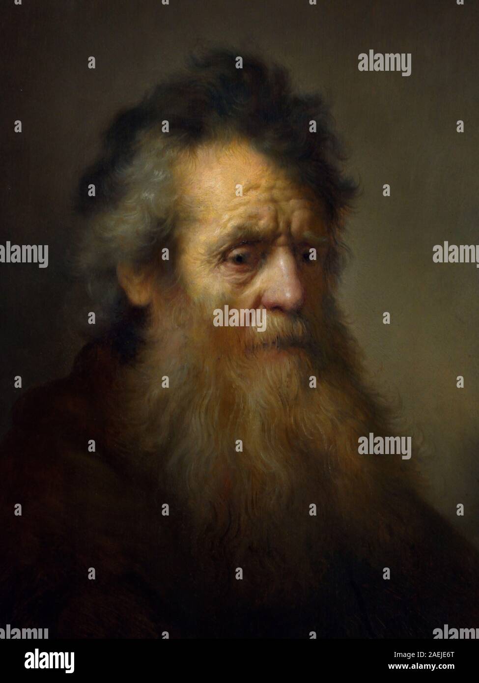 Testa di un barbuto vecchio uomo 1632 Harmenszoon Rembrandt van Rijn 1606-1669 Olandese, Paesi Bassi, Olanda, (Jan Lievens) Foto Stock