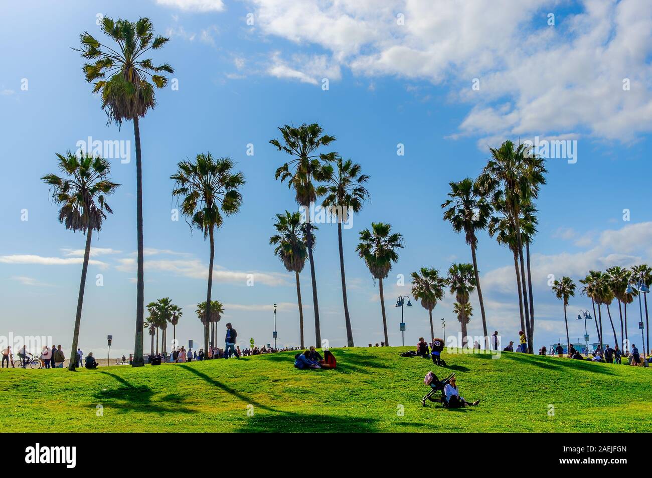 California, USA, Marzo 2019, persone sull'erba di Venice Beach Ocean Front camminano godendo la giornata Foto Stock