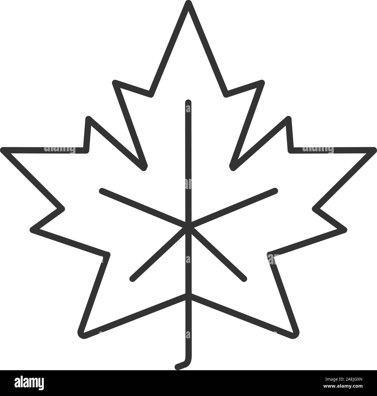 Maple Leaf icona lineare. Canada Simbolo Simbolo di contorno. Autunno Attributo linea sottile illustrazione. Il vettore isolato disegno di contorno Illustrazione Vettoriale