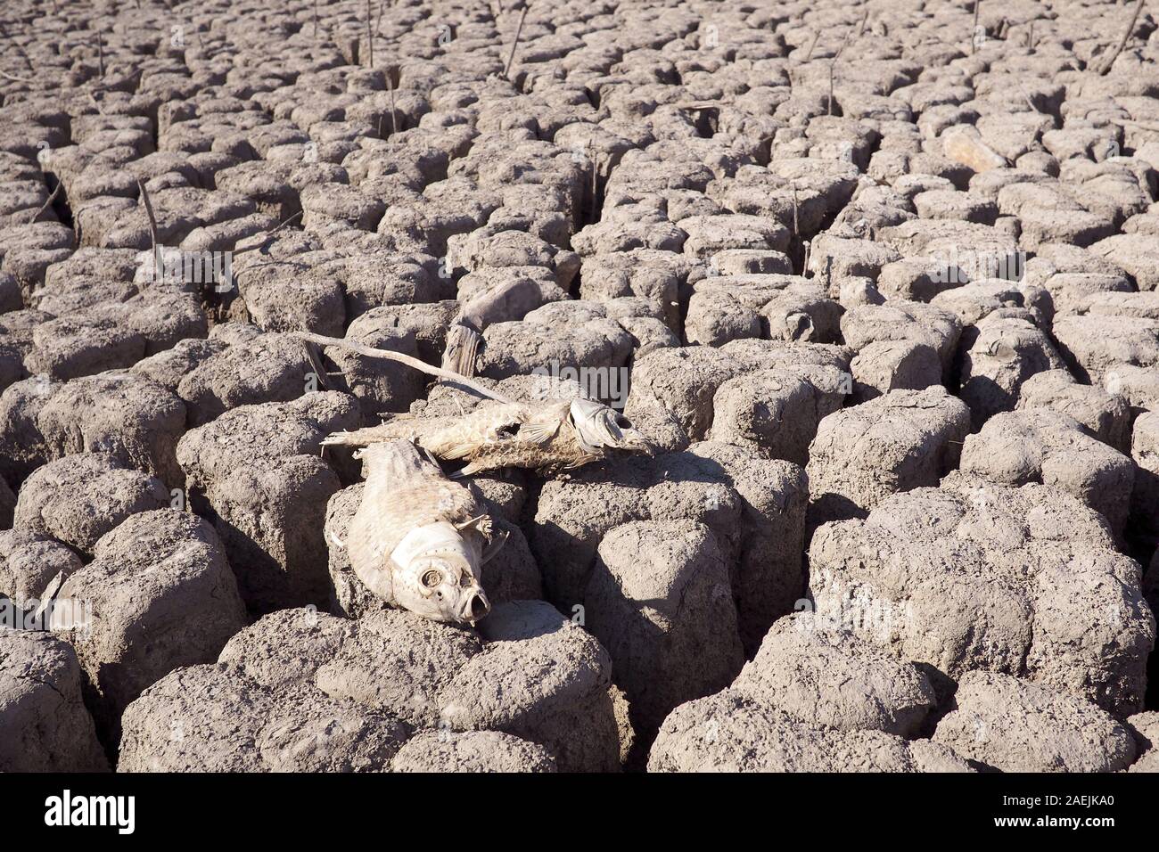 Vista su arida e diga vuota, con fango incrinato Foto Stock