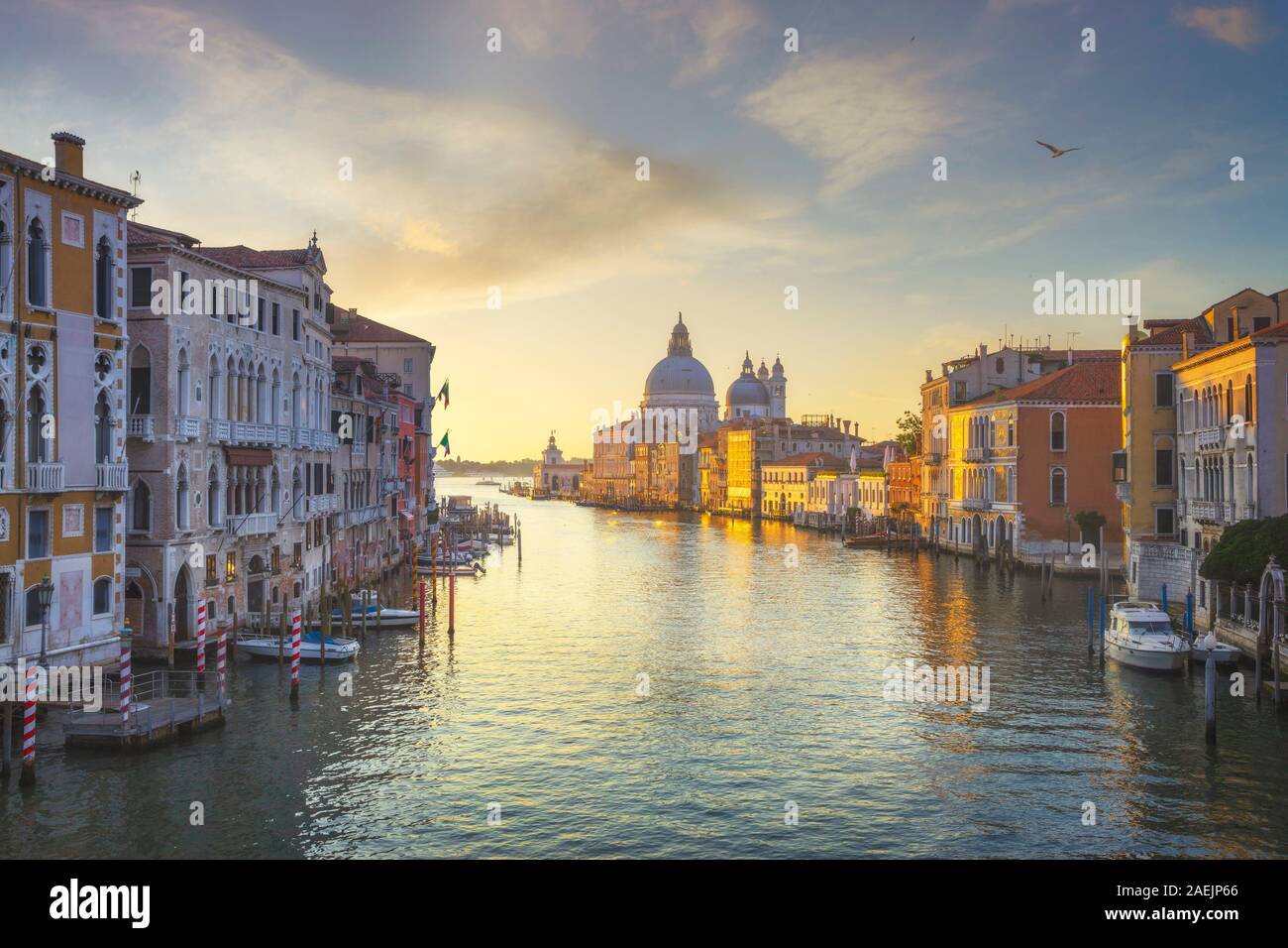 Venezia vista Canal Grande, Chiesa di Santa Maria della Salute, punto di riferimento di sunrise. L'Italia, l'Europa. Foto Stock