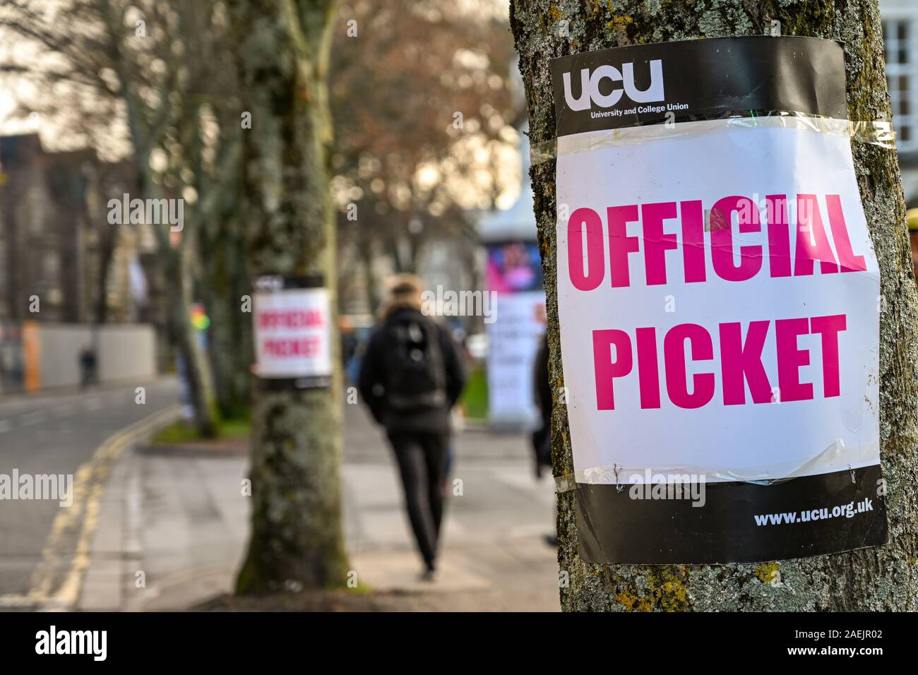 CARDIFF, GALLES - Novembre 2019: Segno attaccato a un albero vicino a un funzionario picket line al di fuori dell Università di Cardiff. Essa segna azione industriale dei membri Foto Stock