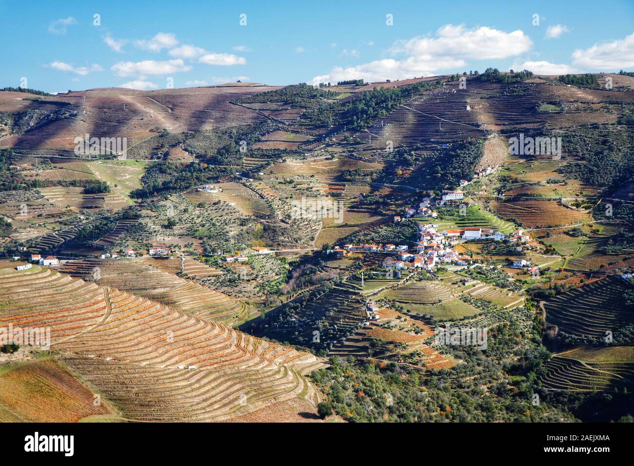 Vigneti lungo la regione vinicola della Valle del Douro, Portogallo Foto Stock