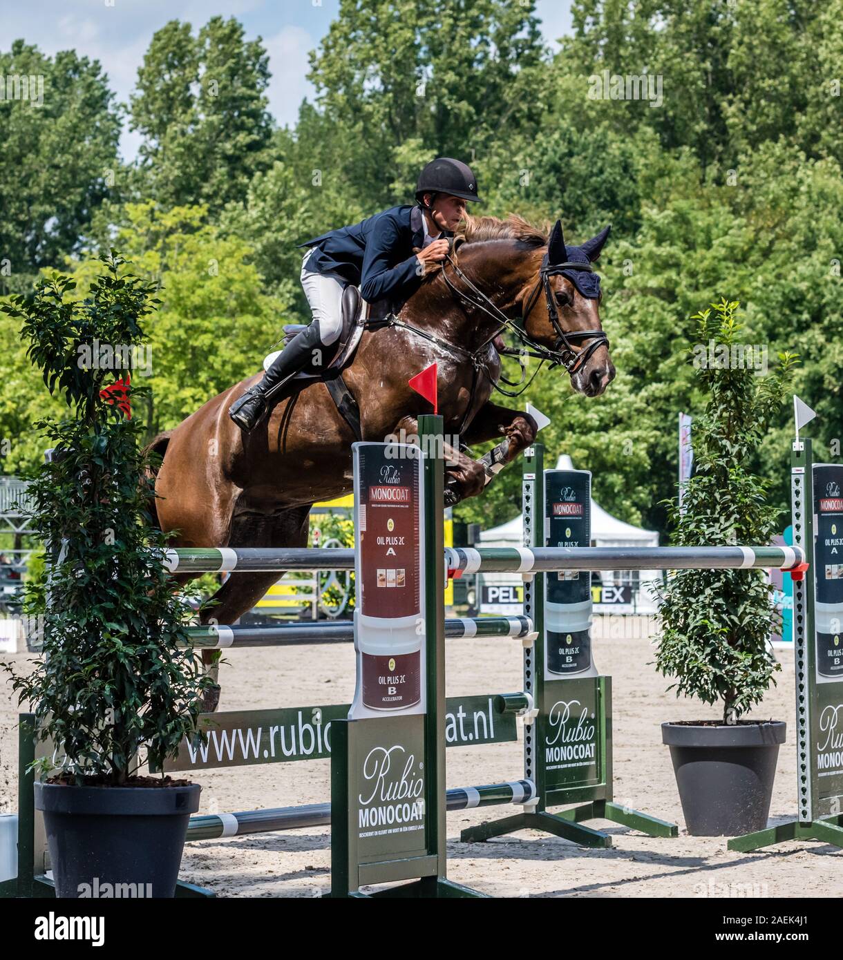 Haarlemmermeer Olanda 19 giugno 2019 concours hippique cavallo jumping Foto Stock