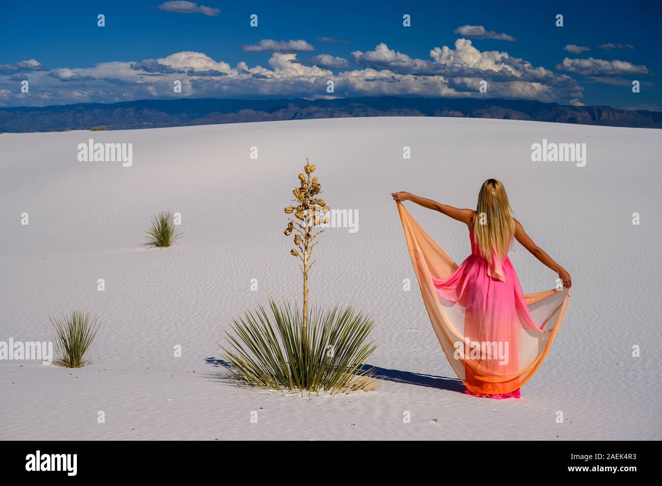 Da sogno come la scena. Eleganti donna che indossa un abito di fantasia e in piedi come una fata tra la yucca al tramonto nel deserto di White Sands National Monu Foto Stock