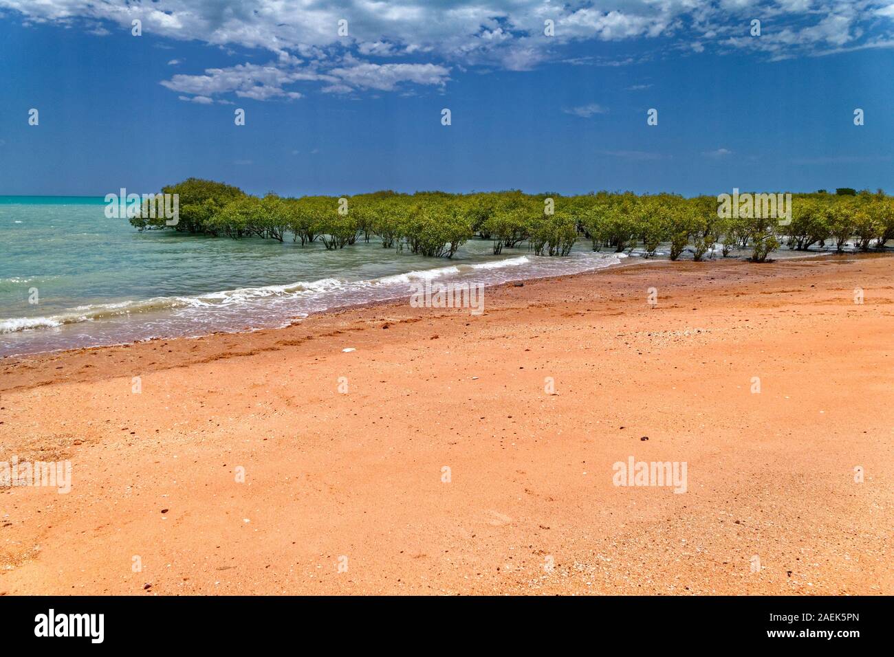 Red spiaggia sabbiosa con alberi di mangrovia, Broome, West Kimberley, Australia occidentale Foto Stock